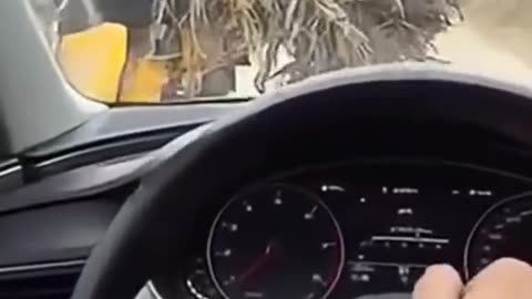 Stupidest crash EVER