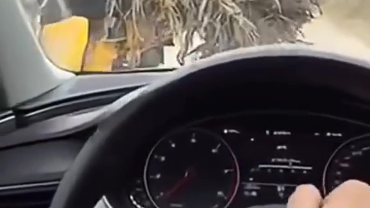 Stupidest crash EVER