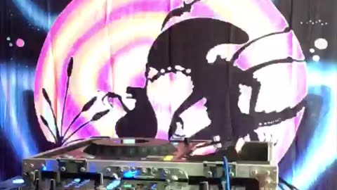 You’re Now Locked Into Timeless !