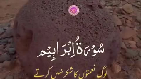 Beshak 💯♥️✨🕊️