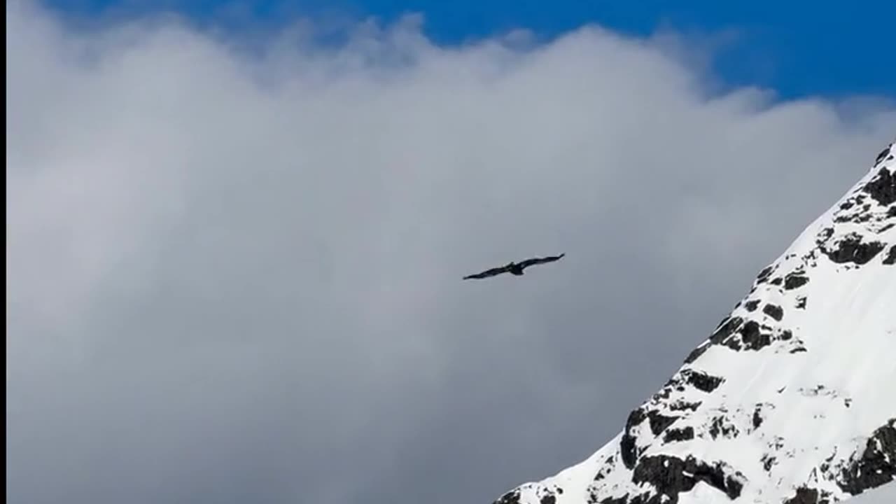 Daily Horoscope | Scorpio 🌟