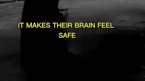 Copying is a silent compliment. 🔥