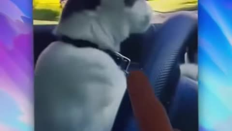 how to remove video background