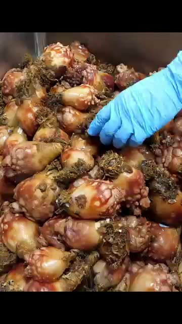 ⚡ Selling 150kg of Sashimi a Day?! Unbelievable Knife Skills by Korean Sashimi Master! 🐟🇰🇷 #shorts