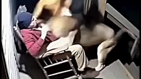 Lion Charges Sleeping Grandpa Cats Launch SAVAGE Counterattack