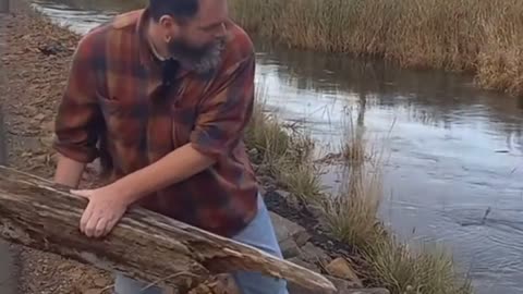 🤯✨ You Won't Believe What Happens When You Dump a Log Into a Whirlpool! | FeedMyCuriosity