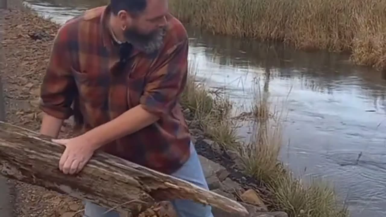 🤯✨ You Won't Believe What Happens When You Dump a Log Into a Whirlpool! | FeedMyCuriosity