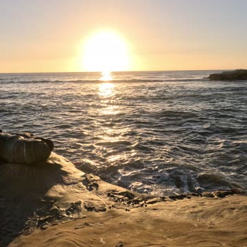 Ocean Pan View #beach #shorts #sandiego