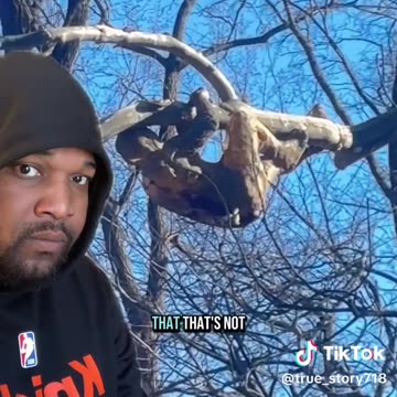 True Story - What Is That