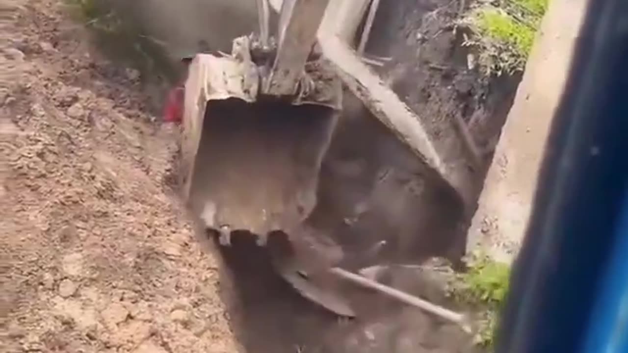 He saved his friend's life in seconds.
