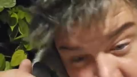 The Nissan Report Krackheads be stalking and Long Arm Codies