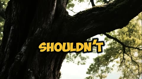 You want love that feels calm