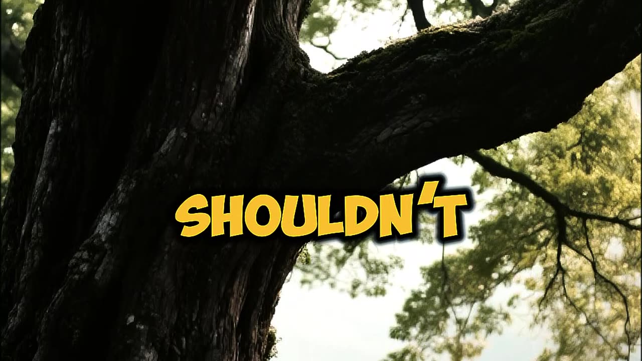 You want love that feels calm