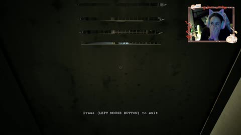 Playing Outlast went exactly as to be expected....