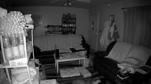 😱👽 You Won't Believe What They Caught on Camera! Activity on "Motion Sensor" Camera | TheHauntingHou