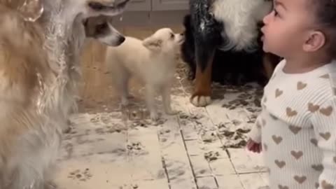 Cute Baby Playing with Animals | Adorable Baby and Pet Moments 2025