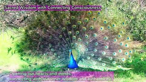 ¡En directo desde la Gira de Sabiduría Sagrada de Carolina del Norte! - Octubre de 2025