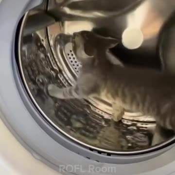 Funniest Video Compilation | Try Not to Laugh! 😂