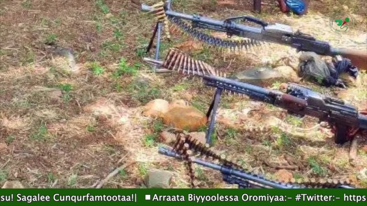 Gabaasa Tarkaanfii ONM-ABO Onkoloolessa 10-2025 itti dhiyaadhaa!