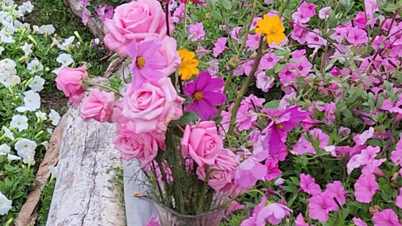 Part 3 of 3, The adventures of the vase of Flowers