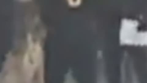 Daniels Out, Mariota Starts Against Giants