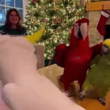 Getting ready for the new year party 😍