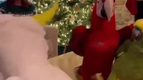 Getting ready for the new year party 😍