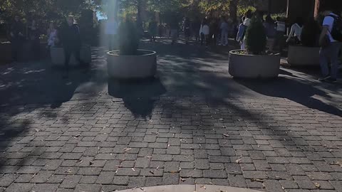 Life Changing Conversation With UTK Woman