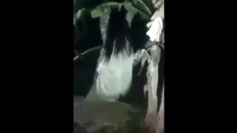 😨👽 La Llorona: The Weeping Woman | TheHauntingHour