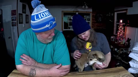 Buster and Molly Review "Jacks Favorite Pumpkin Cookies".