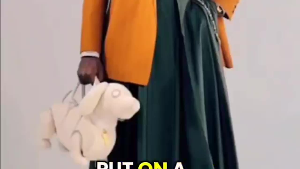 Women shouldn't wear pants