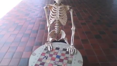 Skeleton standing with his hands in checkers at the science museum [Nature & Animals]