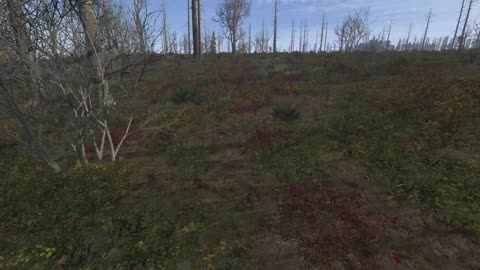 🔴 LIVE - Daily LIVE STREAM in 4K (01/11/2026)