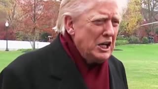 il Donaldo Trumpo - I WENT WITH THE GODFATHER LOOK TODAY.😎🇺🇸🔥🔥🔥