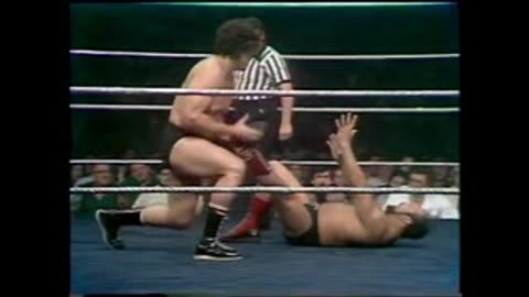 1-12-80 WWF All Star Wrestling