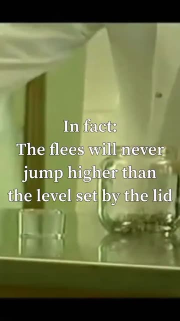 You'll never see the world the same after watching this 20 second video