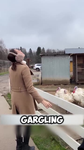 This woman can communicate with turkeys