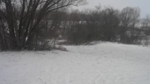 POND5 #ORBIT DAILY UPDATE 2024-2025-2026 #HAPPYNEWYEAR #BXXYEARWXX #BABYEARWAX #DIYALAMP