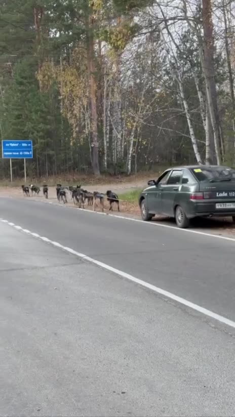 What Happens When a Country of 150m Runs Out of Fuel?