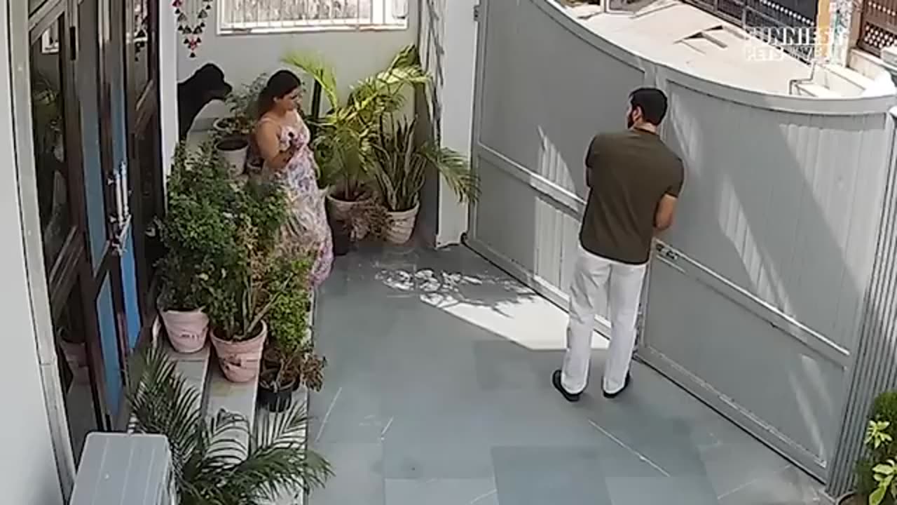 FUNNIEST Pets of 2025...So Far 😂 | BEST Animal Videos