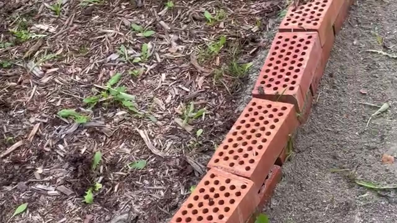 No More Weed Problem!