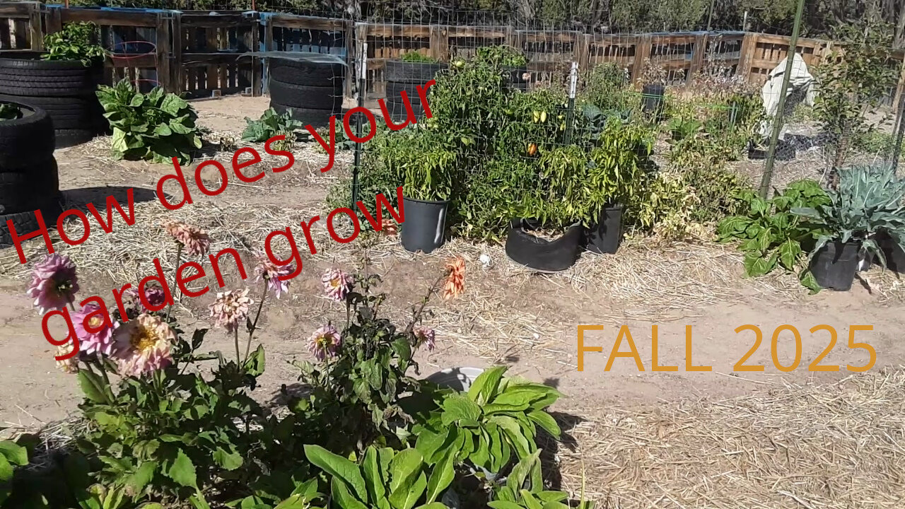 Fall Garden Update 2025