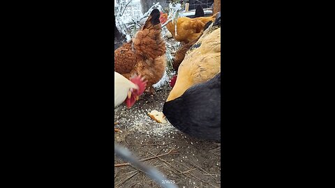 Yummy cornbread!