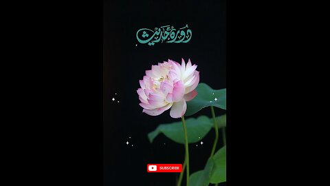 Hadees e nabvi (saw) #islam #viralvideos #islamicreminders #prophetmuhammadsaw #hadeesenabvi