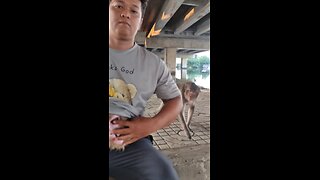 🫣🍌🙈 I'm a dude playin' a dude, disguised as another dude