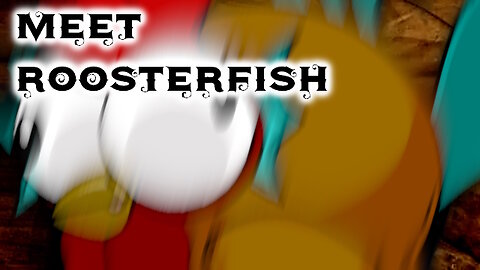 Meet Roosterfish