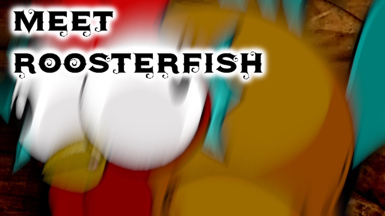 Meet Roosterfish