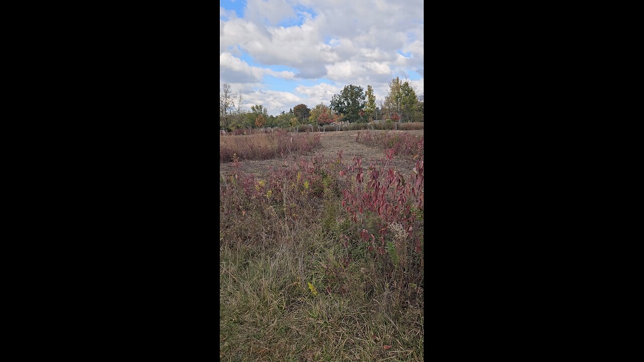 A Forest Preserve Nursery