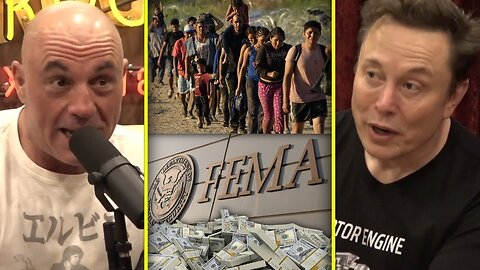 Elon Musk On The Dark Truth Behind FEMA Funding "Illegal Aliens"