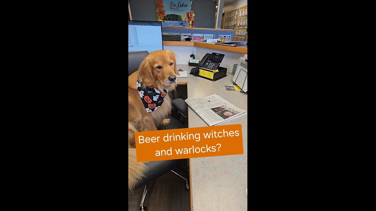 Beer drinking Witches and Warlocks? 👻